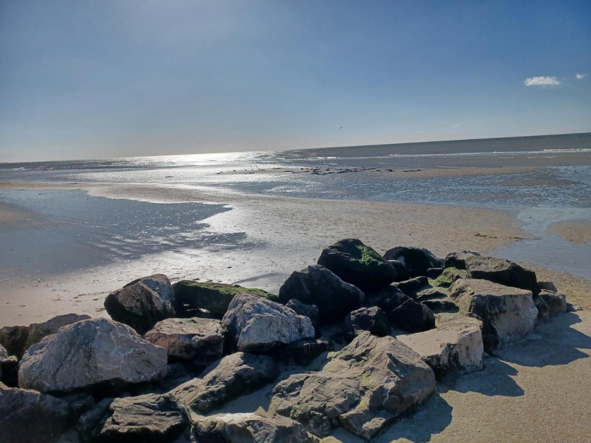 Camping La Dune Blanche كاميير المظهر الخارجي الصورة